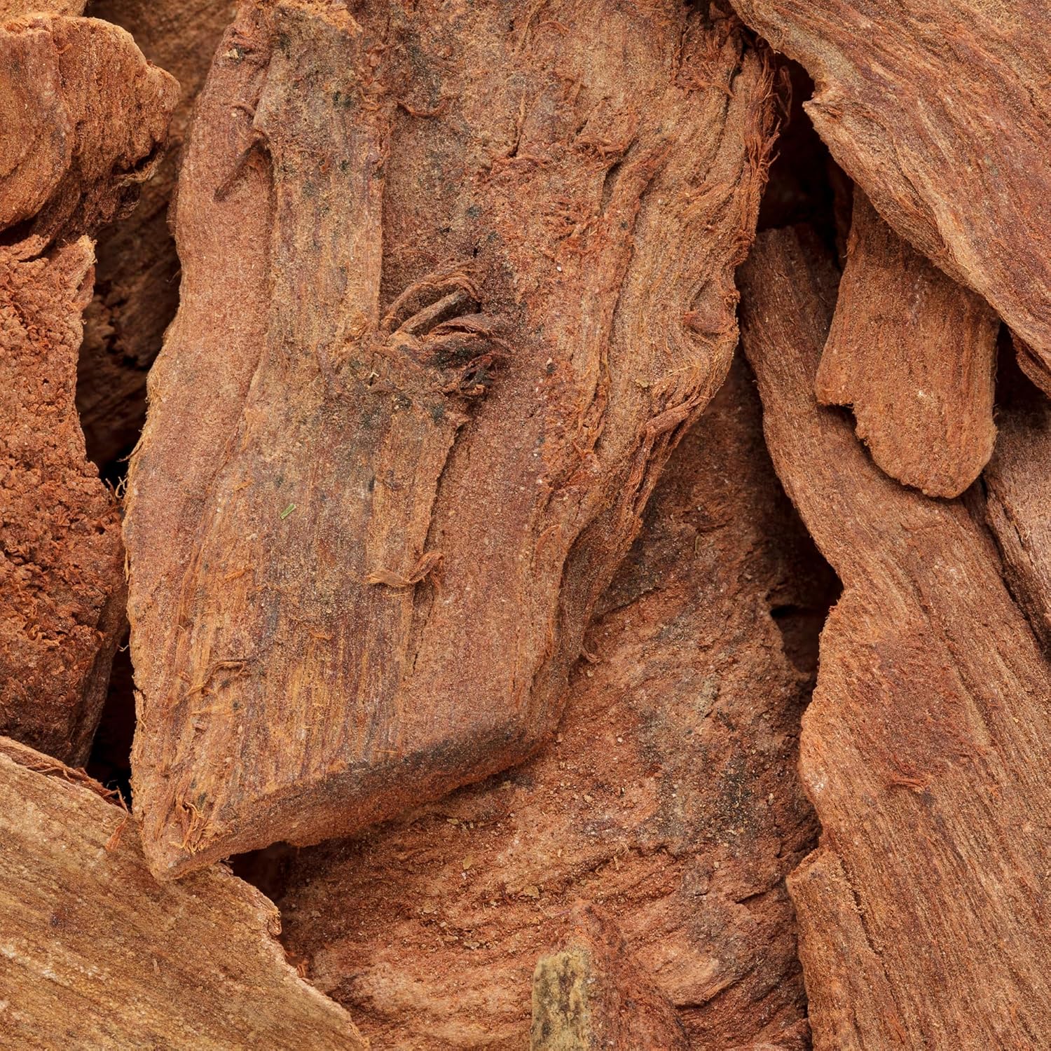 Nxtgen Ayurveda Arjun Chaal Powder | 250 gm | Terminalia Arjuna | Arjun Ki Chaal Powder