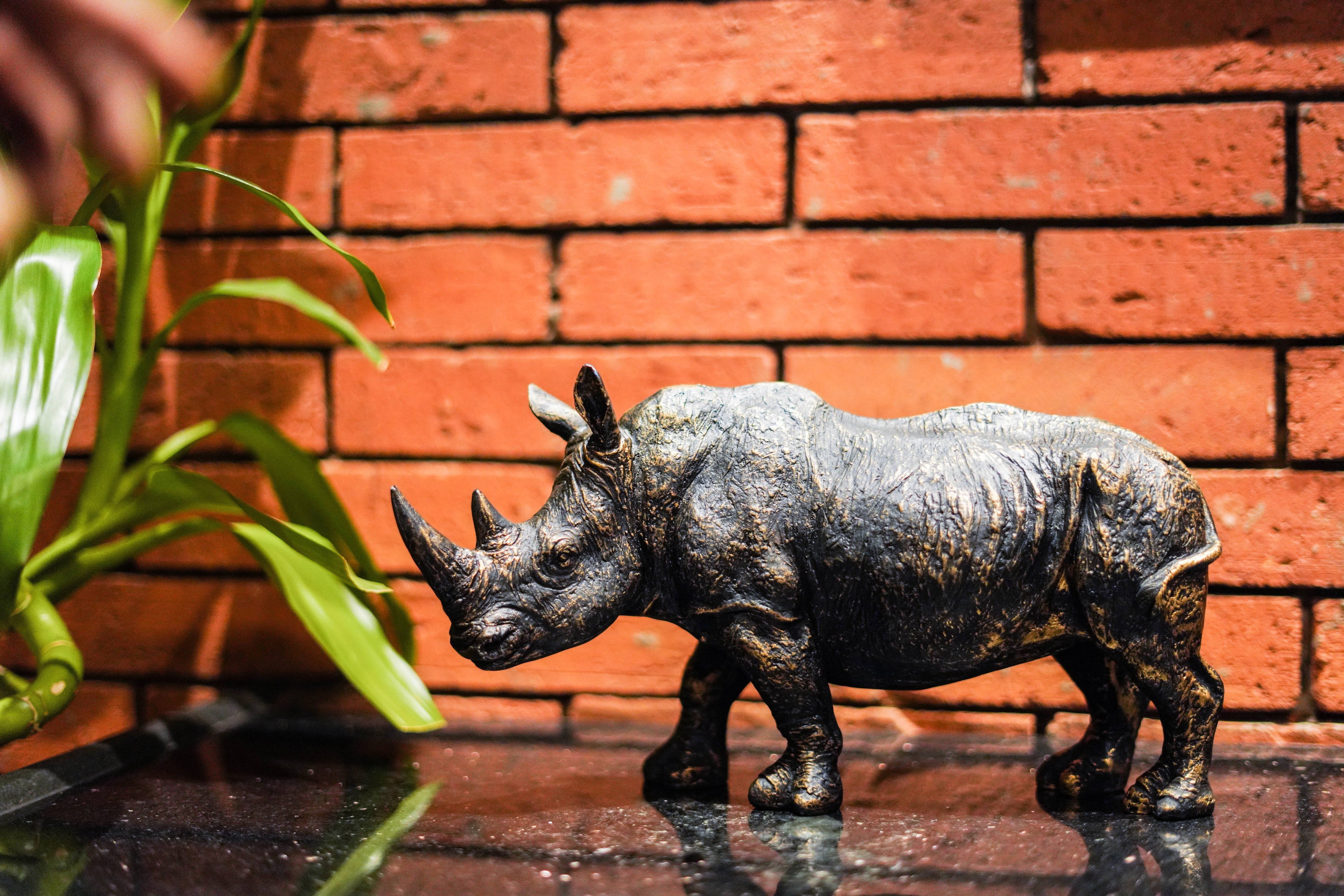 Rhinoceros Statue