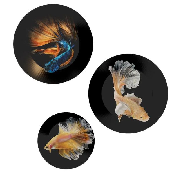 Ceramic Wall Plates with Beautiful Fish Art Wall Hanging Plate - Set of 3 - Image 4
